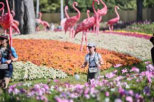 BIB: 
                            <button type="button" onclick="openModal(27793376)" class="btn btn-primary btn-sm float-right btn-popup" data-toggle="modal" data-target=".modal-high-quality">
                        <i class="fas fa-shopping-cart"></i> Add to Cart
                    </button>
                                            <button type="button" onclick="isThisMe(27793376, true)" class="btn btn-success btn-sm float-right btn-popup btn-isme hidden" data-toggle="tooltip" data-placement="bottom" title="นี่คือรูปของคุณใช่ไหม คลิกที่นี่เพื่อเอาเข้าอัลบั้ม">
                        <i class="fas fa-plus"></i> Add to album
                    </button>
                    <button type="button" onclick="isThisMe(27793376, false)" class="btn btn-warning btn-sm float-right btn-popup btn-isnotme hidden">
                        <i class="fas fa-ban"></i> Remove from album
                    </button>